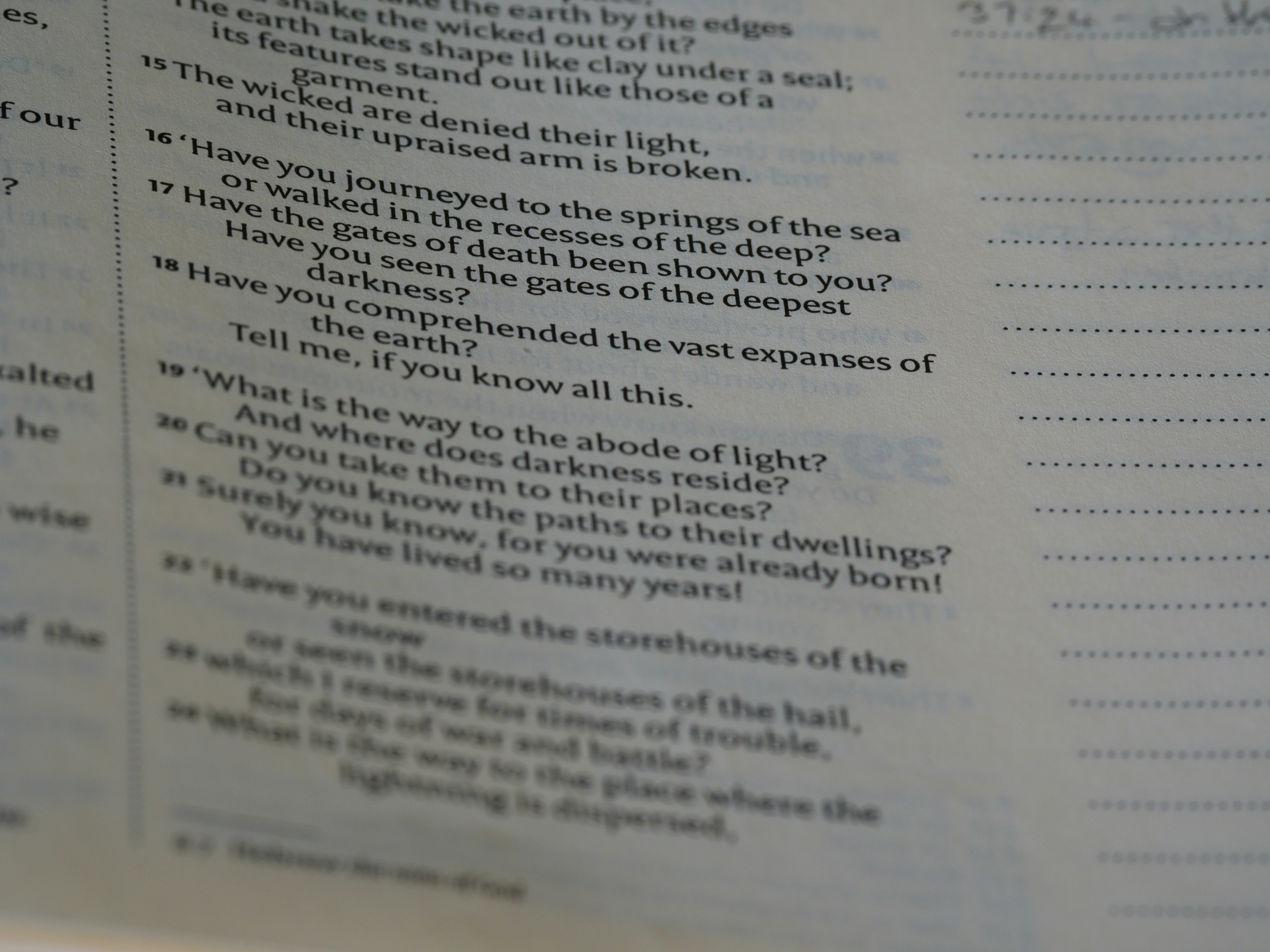 close up, bokeh, macro, blur, blurred background, close focus, bible, old testament, hebrew bible, christian, judaism, history, text, reading, bible study, devotions, text, NIV, New International Version, type, typography, canon, christianity, holy scripture, holy bible, scripture, old testament, hebrew bible, tanakh, ketuvim, book of job, job, אִיּוֹב, theodicy, satan, the accuser, הַשָּׂטָן,